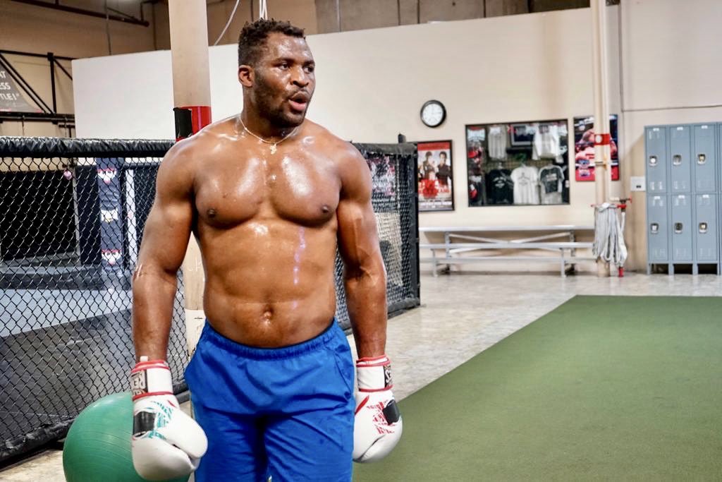 Francis Ngannou : Jon Jones ou Deontay Wilder au menu ?