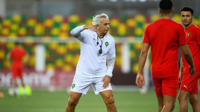 Mondial 2022 : Vahid Halilhodzic cartonne encore le Maroc