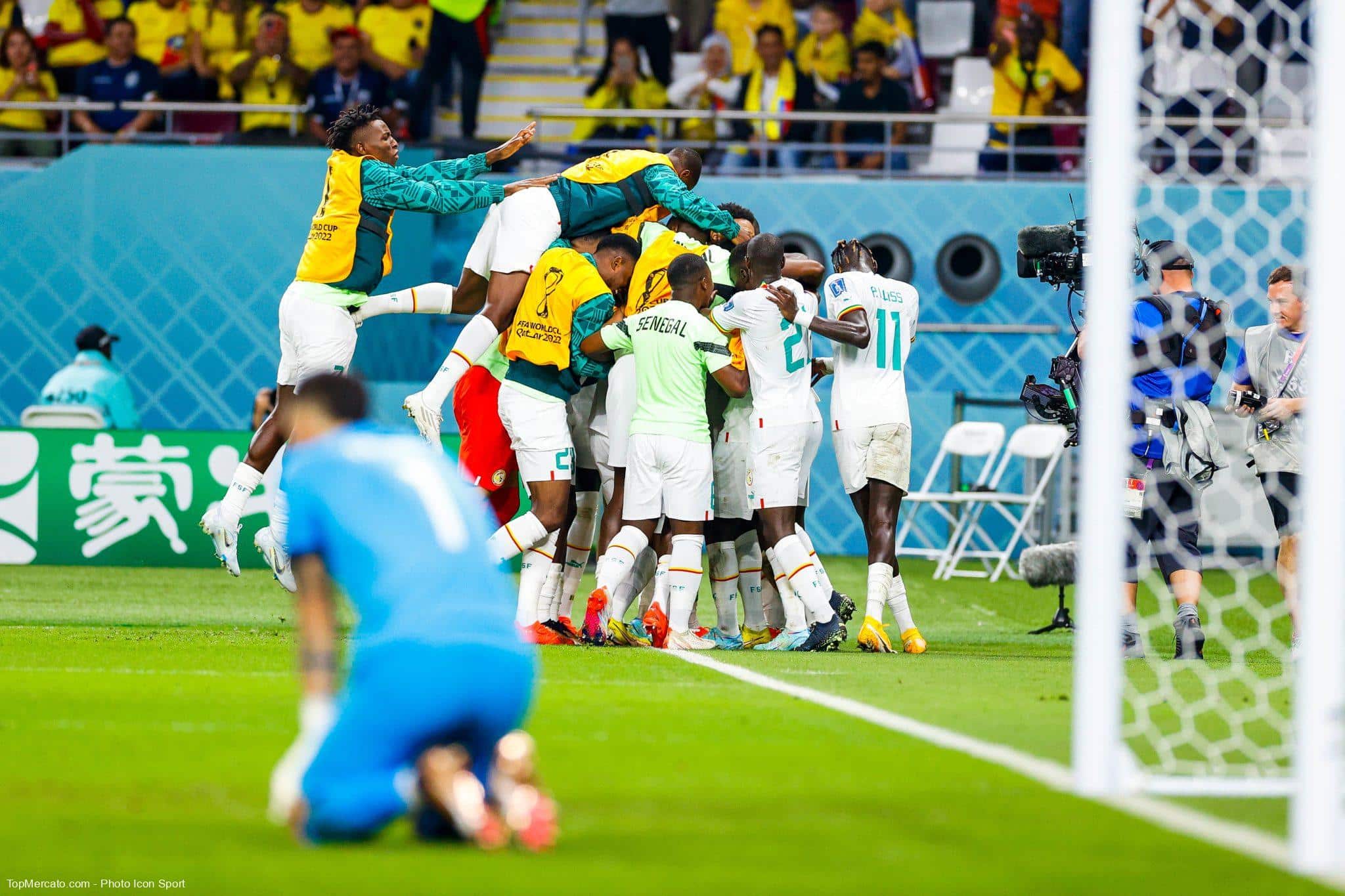 Mondial 2022-Groupe A : les Lions du Sénégal font leur Tri et passent en huitièmes