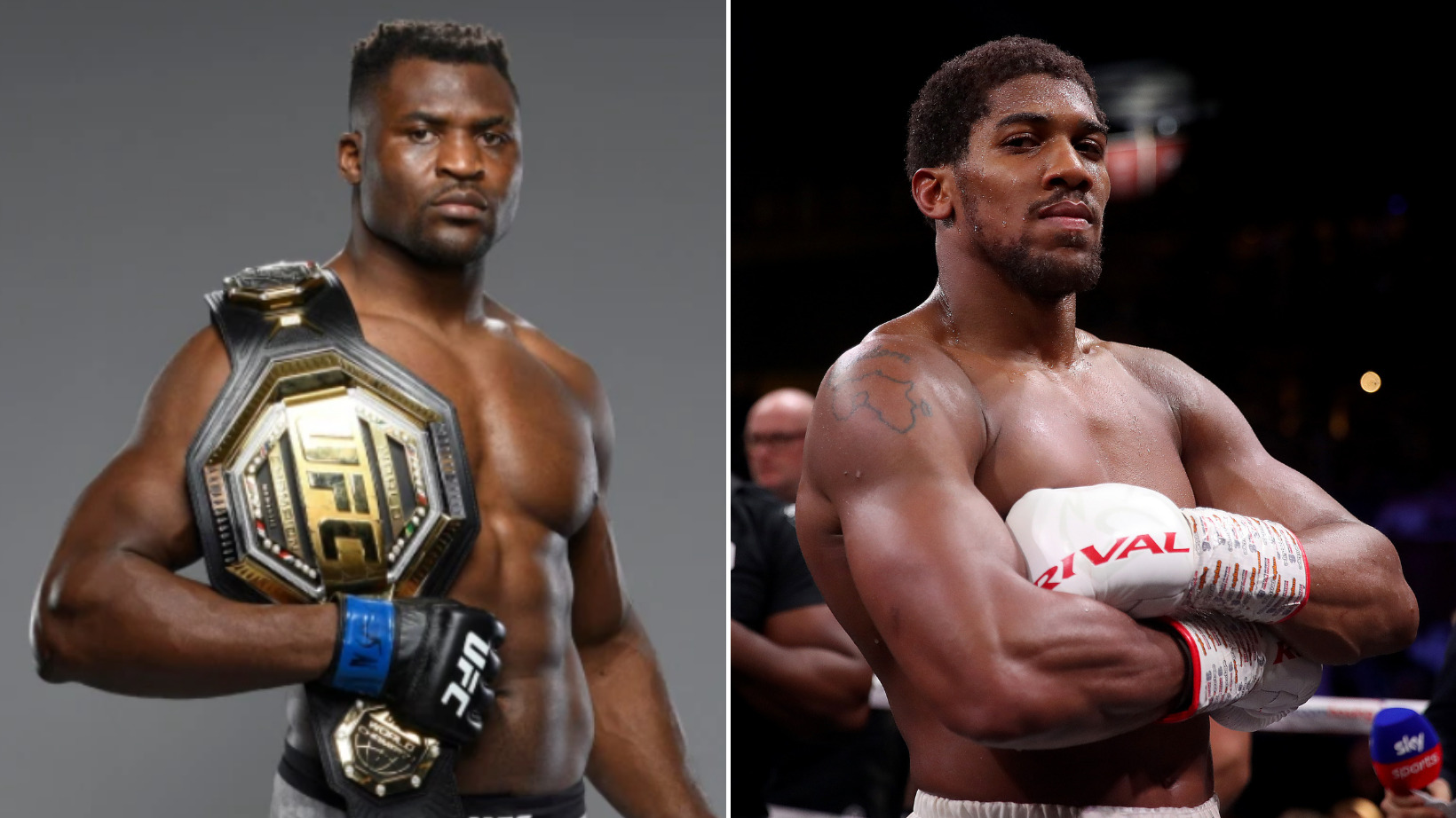 Francis Ngannou et Anthony Joshua