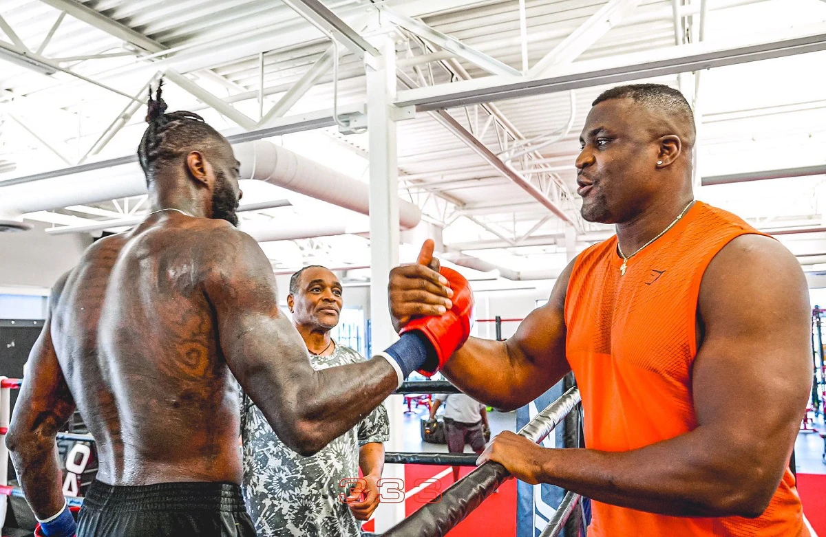 MMA : un choc Ngannou – Wilder ?