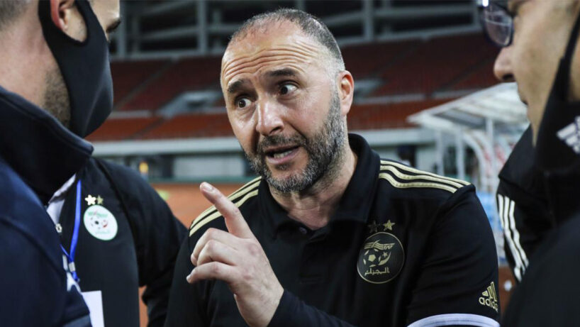 Djamel Belmadi sélectionneur de l'Algérie