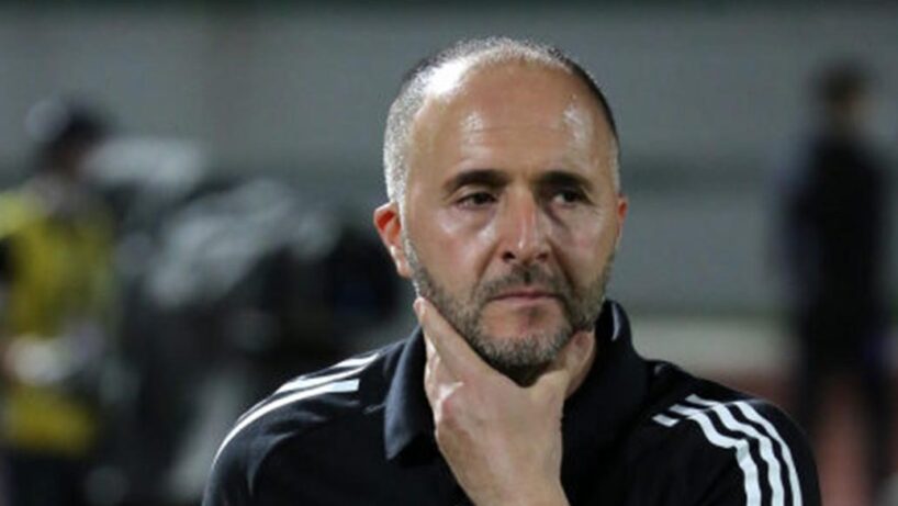 Djamel Belmadi Algérie