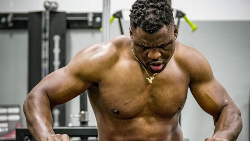 Francis Ngannou détruit par Tim Silvia