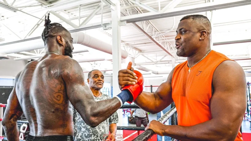 Ngannou et Wilder