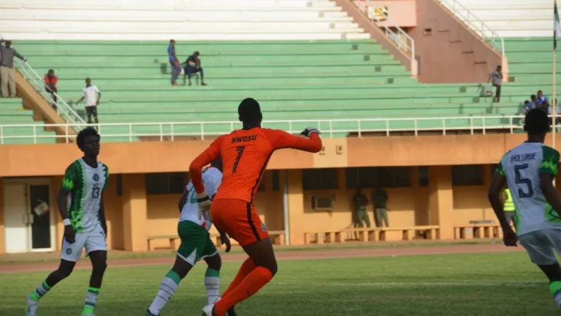 flying eagles in Niger