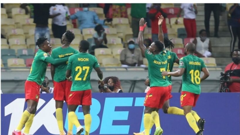 les-lions-jubilent_cin091247_cameroon-info-p-net_800xm1x